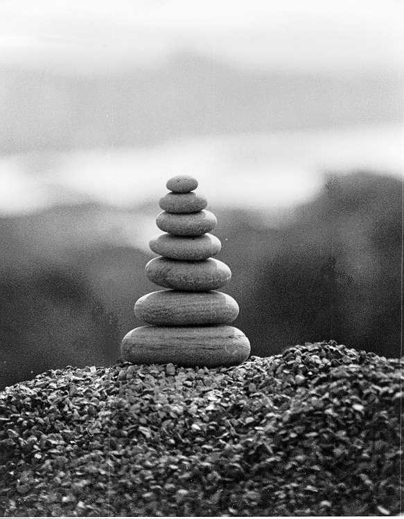  cairn picture